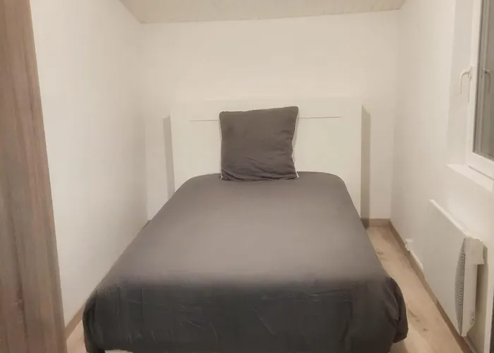 L'observatoire-cite Medievale * Carcassonne