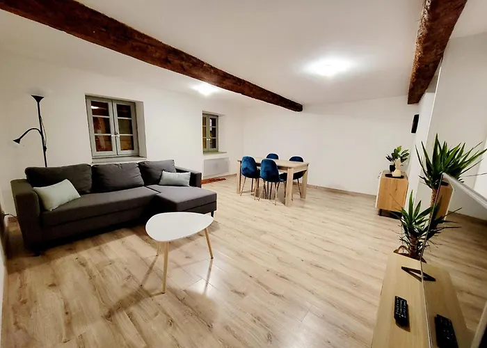 L'observatoire-cite Medievale Carcassonne