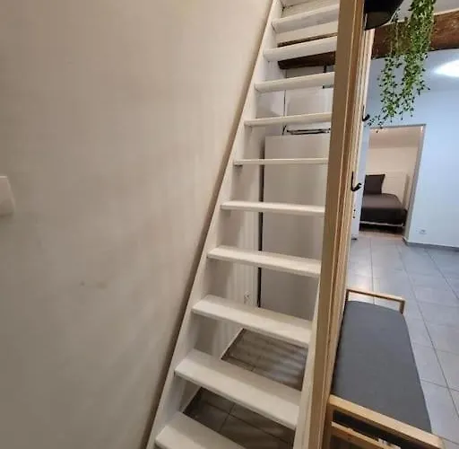 L'observatoire-cite Medievale *